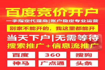 某某sem代运营公司：精准投放的背后策略